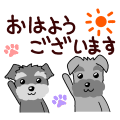 ずーっと使える　シュナウザー♪