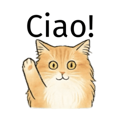 毎日きなこです