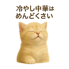 こにぇこにょいちにち～なつ