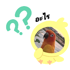 nampujung_20250815150117