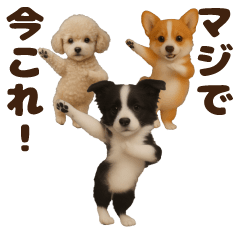 踊る！今これ界隈わんこMAX/犬/いぬ/イヌ