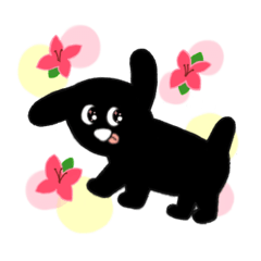 かわいいこいぬのクロ