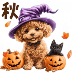 動く♪秋のほっこりトイプードル