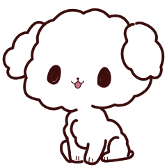 トイプードルの「シュガー」