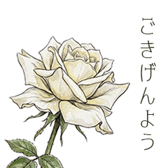 大人のためのエレガントなバラのスタンプ