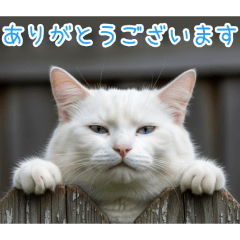 [ありがとうございます専用]おでぶ猫