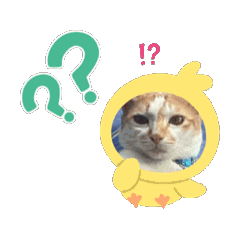 Narinana_20260318134427