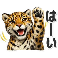 毎日使える！ ジャガー
