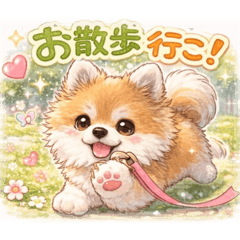 ポメラニアンあずきちゃんの日常