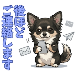 【敬語】毎日使える！表情豊かな黒チワワ 3