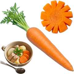 にんじん　実写