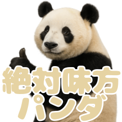 絶対味方パンダ １４ アプリコットコーラル