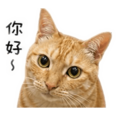 Xu Zhenyin_20260502004622