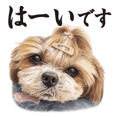 毎日使える！犬スタンプ3(ゆる敬語)
