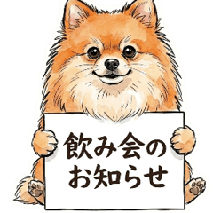 飲み会ポメラニアン