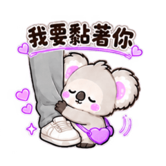 Brother_20260821123042
