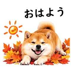 毎日使える♡柴犬、秋の訪れ