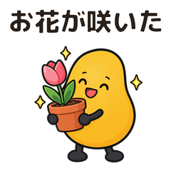 まめぽん 花とみどり豆