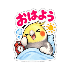 腹ぺこオカメインコ3
