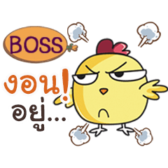 BOSS this chicken? e