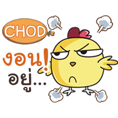 CHOD this chicken? e