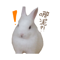 Jellyfish_20200526225054