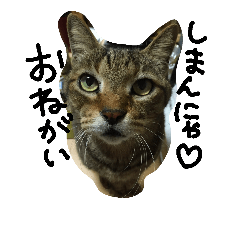 happy friends around me