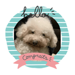 ★カノアさんのスタンプ★