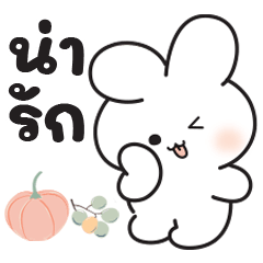 Cute White Rabbit : Cute chat