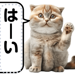 リアル猫のメッセージスタンプ01