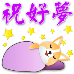 Cute Corgi -Daily Useful Phrases