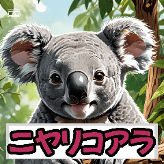 『表情ゆるかわ❤️コアラの日常』