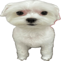 かんべえの切り抜きスタンプ