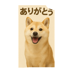 雑種のスタンプ名前はまろん。