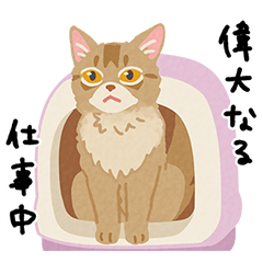 ソマリーズbyのらりーの