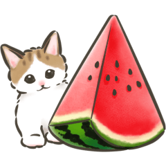 夏の毎日☆猫たちのスタンプ２