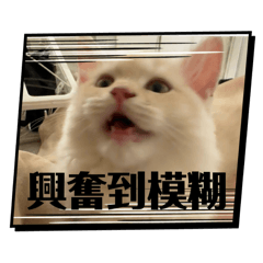 coco0718_20250704021341