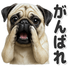毎日使える！かわいいパグ