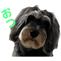 かぬちん　おつかれスタンプ