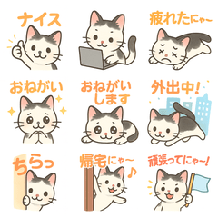 オンザ眉猫の日常(仕事編)