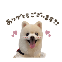 ねねちゃん♡スタンダード