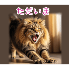 [ただいま専用]ライオン猫