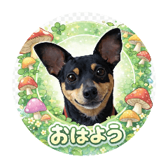 れんくんチャンネル(日常)④