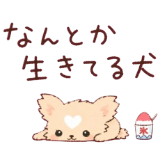 なんとか生きてる犬