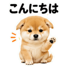 気を使いすぎる豆柴の毎日敬語