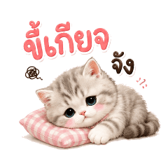 Meow Little Break