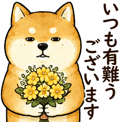 ずっと使える気遣い言葉｜柴犬のゆるい日常