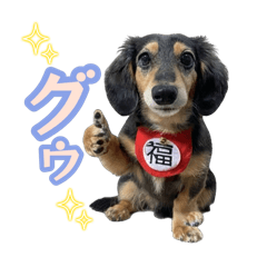 Ｍダックス福の毎日使える日常会話編♡