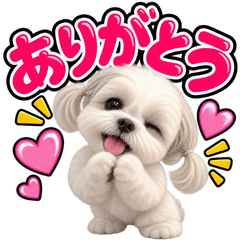 毎日使えるデカ文字シーズー