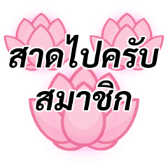 Thai Hit Words 2026 Ver.4
